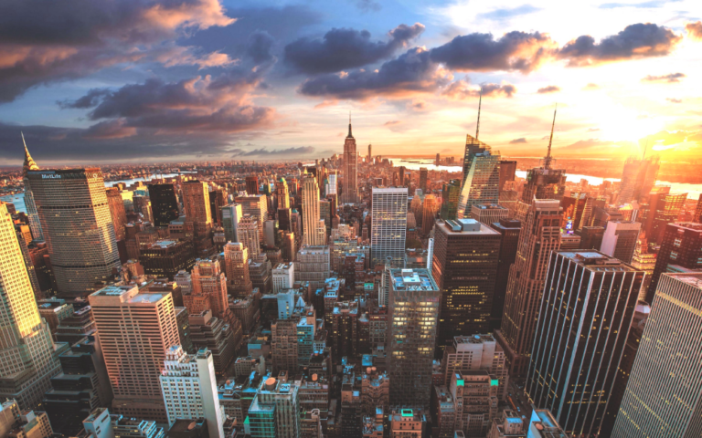 rose cover 1 768x480